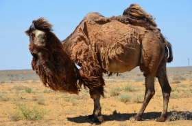 Wyprawa Szlakiem Jedwabnym – AFGANISTAN 2012